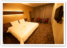 Hotel De Botani - Room types